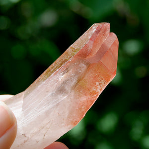 Curved Strawberry Pink Lemurian Seed Quartz Crystal Tantric Twin, Serra do Cabral, Brazil