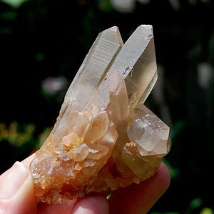 Tantric Twin Pink Shadow Smoky Lemurian Seed Quartz Crystal Starbrary Cluster, Brazil