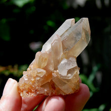 Load image into Gallery viewer, Tantric Twin Pink Shadow Smoky Lemurian Seed Quartz Crystal Starbrary Cluster, Brazil
