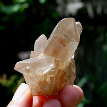 Load image into Gallery viewer, Tantric Twin Pink Shadow Smoky Lemurian Seed Quartz Crystal Starbrary Cluster, Brazil
