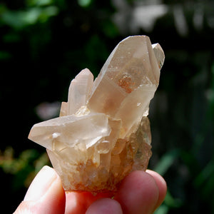 Tantric Twin Pink Shadow Smoky Lemurian Seed Quartz Crystal Starbrary Cluster, Brazil