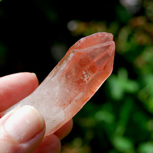 Curved Strawberry Pink Lemurian Seed Quartz Crystal Tantric Twin, Serra do Cabral, Brazil