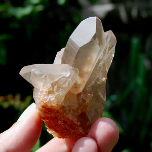 Tantric Twin Pink Shadow Smoky Lemurian Seed Quartz Crystal Starbrary Cluster, Brazil