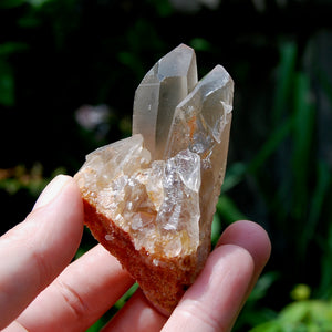 Tantric Twin Pink Shadow Smoky Lemurian Seed Quartz Crystal Starbrary Cluster, Brazil