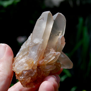 Tantric Twin Pink Shadow Smoky Lemurian Seed Quartz Crystal Starbrary Cluster, Brazil