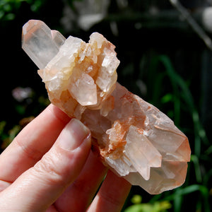 Unique DT ET Crowned Scepter Tabby Pink Shadow Smoky Lemurian Crystal Starbrary Cluster, Brazil