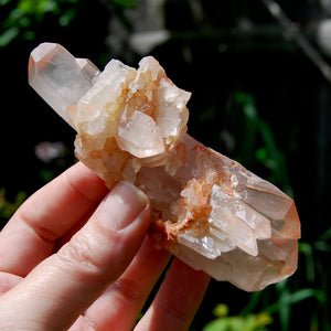 Unique DT ET Crowned Scepter Tabby Pink Shadow Smoky Lemurian Crystal Starbrary Cluster, Brazil