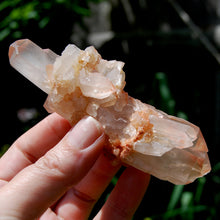 Load image into Gallery viewer, Unique DT ET Crowned Scepter Tabby Pink Shadow Smoky Lemurian Crystal Starbrary Cluster, Brazil
