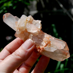 Unique DT ET Crowned Scepter Tabby Pink Shadow Smoky Lemurian Crystal Starbrary Cluster, Brazil