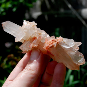 Unique DT ET Crowned Scepter Tabby Pink Shadow Smoky Lemurian Crystal Starbrary Cluster, Brazil