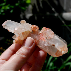 Unique DT ET Crowned Scepter Tabby Pink Shadow Smoky Lemurian Crystal Starbrary Cluster, Brazil