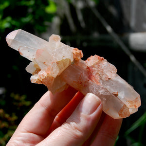 Unique DT ET Crowned Scepter Tabby Pink Shadow Smoky Lemurian Crystal Starbrary Cluster, Brazil