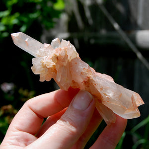 Unique DT ET Crowned Scepter Tabby Pink Shadow Smoky Lemurian Crystal Starbrary Cluster, Brazil