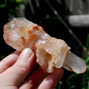 Unique DT ET Crowned Scepter Tabby Pink Shadow Smoky Lemurian Crystal Starbrary Cluster, Brazil