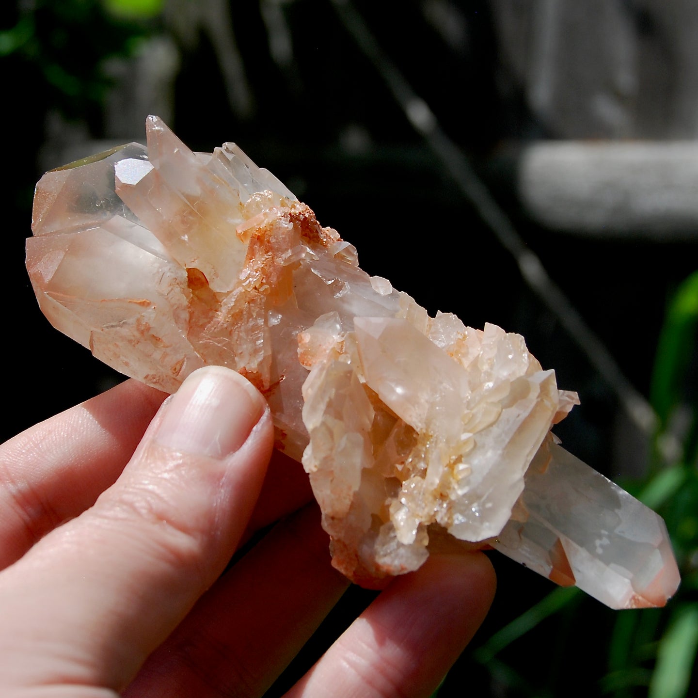 Unique DT ET Crowned Scepter Tabby Pink Shadow Smoky Lemurian Crystal Starbrary Cluster, Brazil