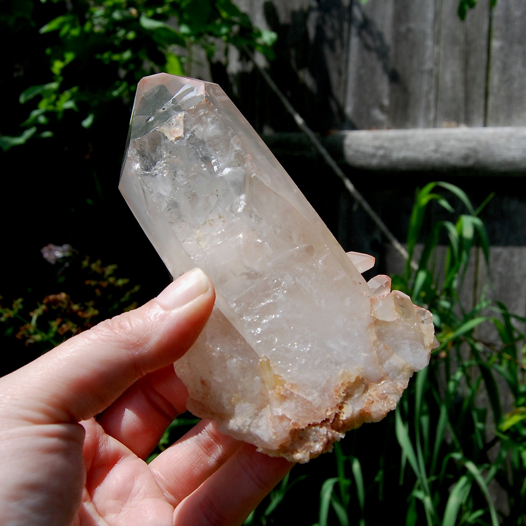 Isis Face Pink Shadow Smoky Lemurian Seed Quartz Crystal Starbrary Cluster, Brazil