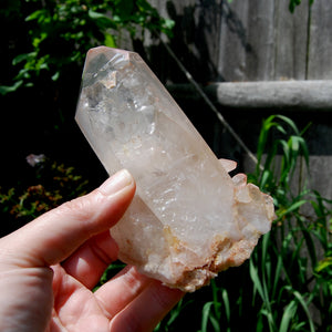 Isis Face Pink Shadow Smoky Lemurian Seed Quartz Crystal Starbrary Cluster, Brazil