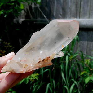 Isis Face Pink Shadow Smoky Lemurian Seed Quartz Crystal Starbrary Cluster, Brazil