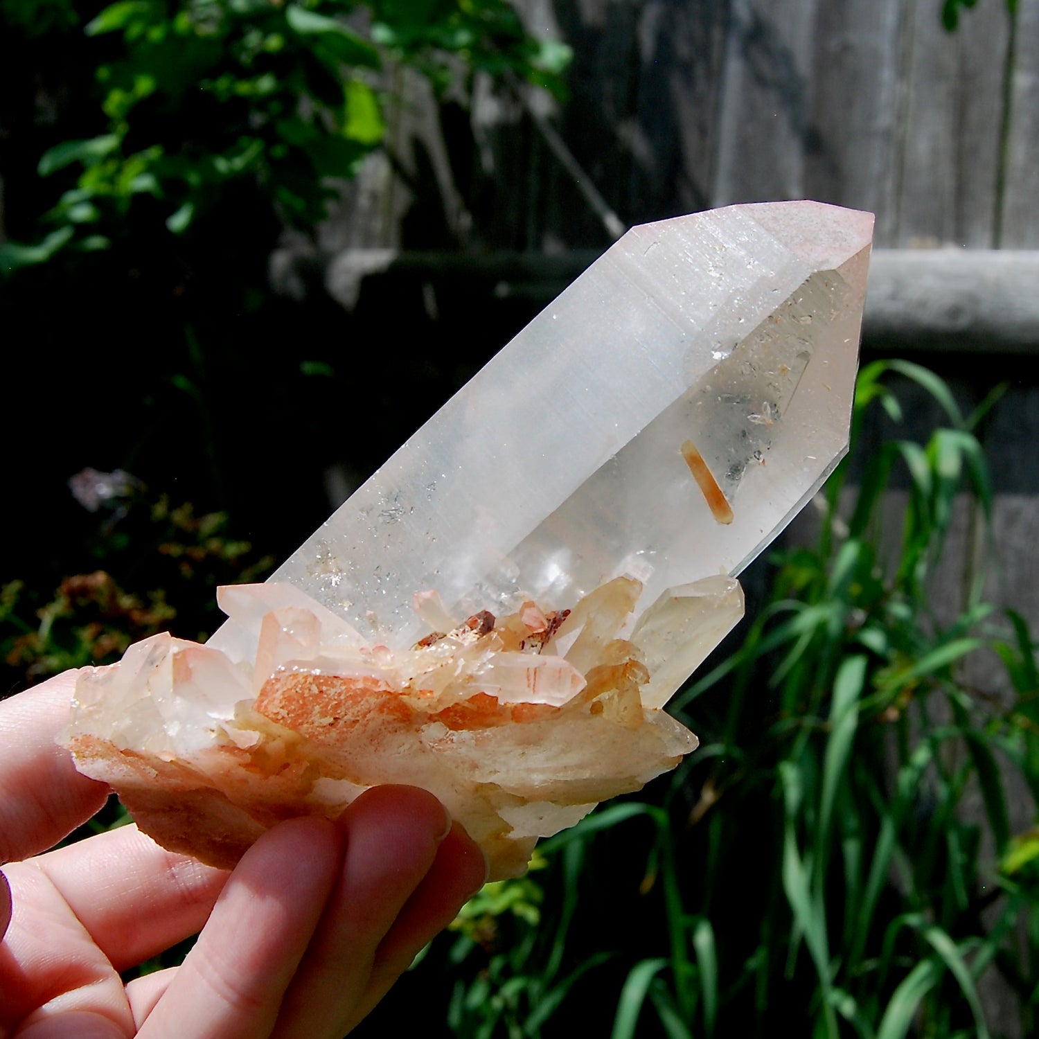 Isis Face Pink Shadow Smoky Lemurian Seed Quartz Crystal Starbrary Cluster, Brazil