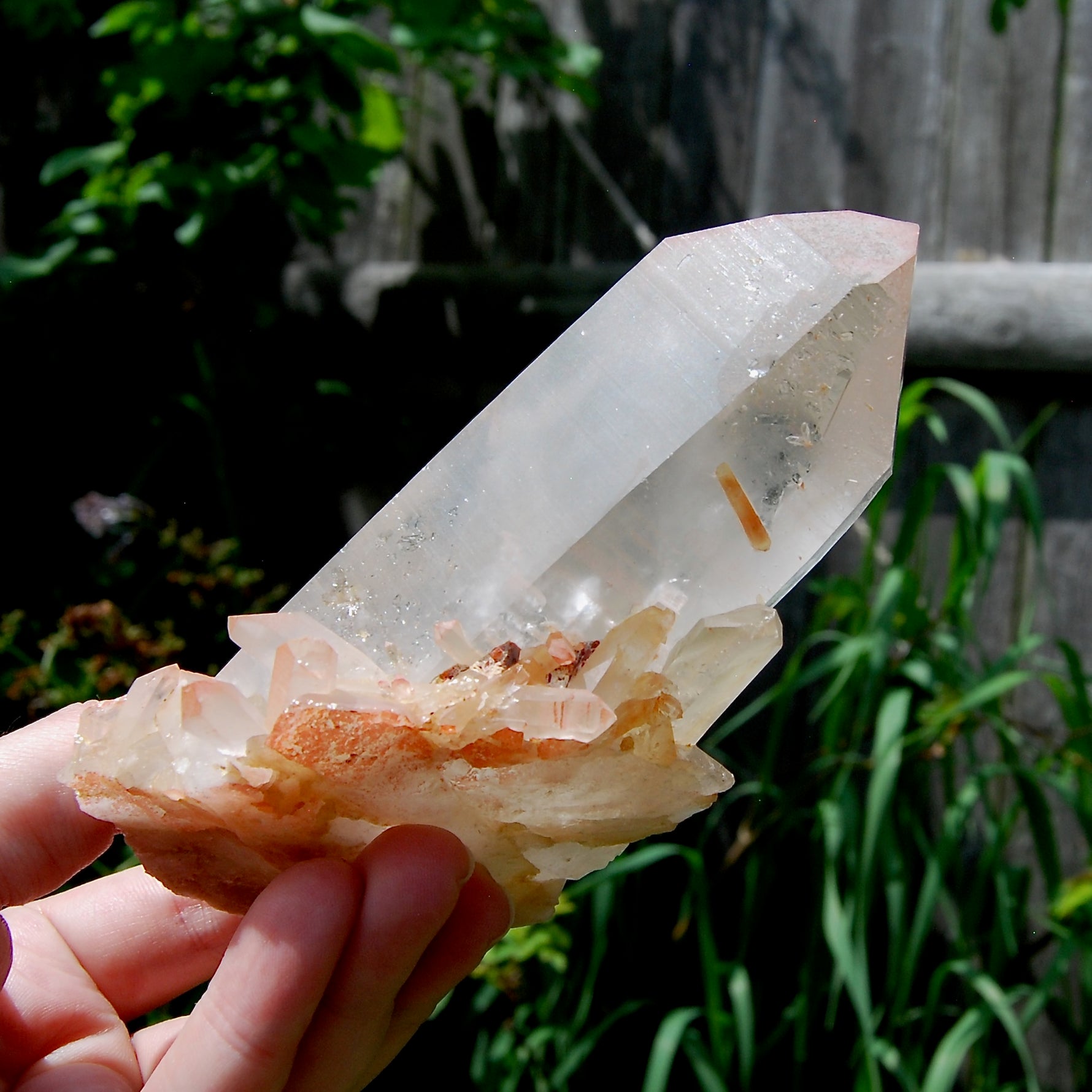 Isis Face Pink Shadow Smoky Lemurian Seed Quartz Crystal Starbrary Cluster, Brazil