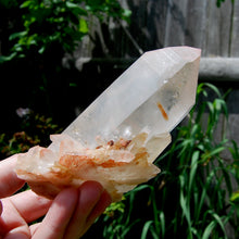 Load image into Gallery viewer, Isis Face Pink Shadow Smoky Lemurian Seed Quartz Crystal Starbrary Cluster, Brazil
