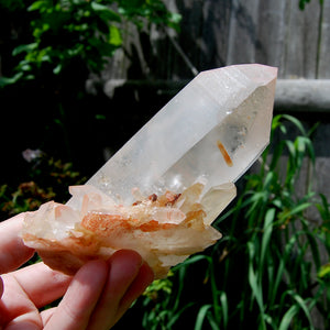 Isis Face Pink Shadow Smoky Lemurian Seed Quartz Crystal Starbrary Cluster, Brazil