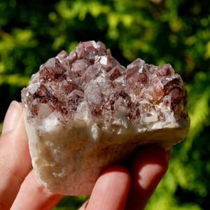 hantom Pyramid Hematoid Quartz Crystal Cluster, Red Specular Hematite, Zambia