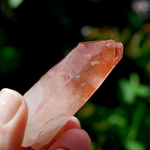 Curved Strawberry Pink Lemurian Seed Quartz Crystal Tantric Twin, Serra do Cabral, Brazil