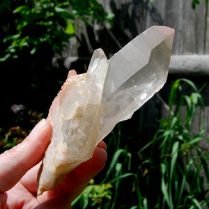 Isis Face Pink Shadow Smoky Lemurian Seed Quartz Crystal Starbrary Cluster, Brazil