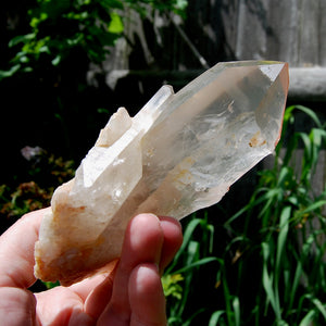 Isis Face Pink Shadow Smoky Lemurian Seed Quartz Crystal Starbrary Cluster, Brazil