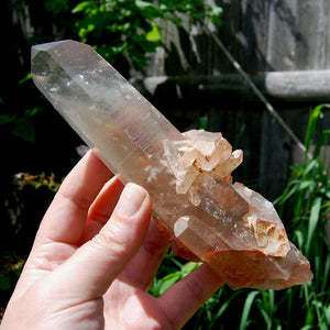 Channeler Cross Pink Shadow Smoky Lemurian Seed Quartz Crystal Starbrary Cluster, Brazil