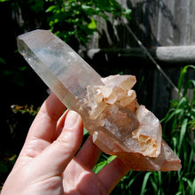 Load image into Gallery viewer, Channeler Cross Pink Shadow Smoky Lemurian Seed Quartz Crystal Starbrary Cluster, Brazil
