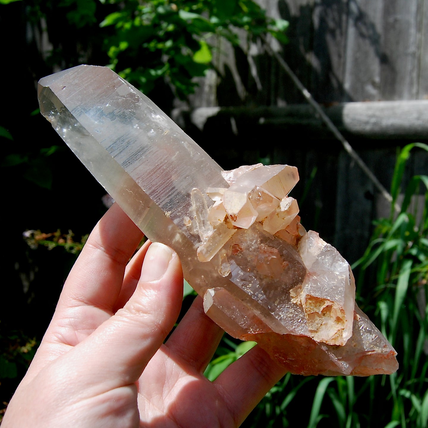 Channeler Cross Pink Shadow Smoky Lemurian Seed Quartz Crystal Starbrary Cluster, Brazil