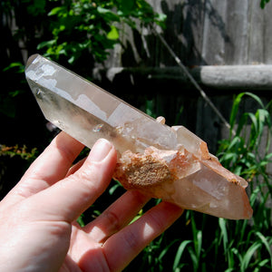 Channeler Cross Pink Shadow Smoky Lemurian Seed Quartz Crystal Starbrary Cluster, Brazil