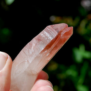 Curved Strawberry Pink Lemurian Seed Quartz Crystal Tantric Twin, Serra do Cabral, Brazil