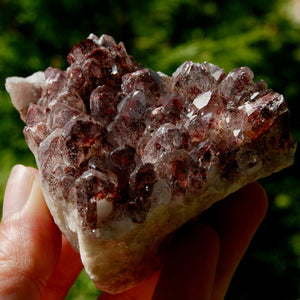 hantom Pyramid Hematoid Quartz Crystal Cluster, Red Specular Hematite, Zambia