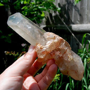 Channeler Cross Pink Shadow Smoky Lemurian Seed Quartz Crystal Starbrary Cluster, Brazil