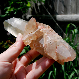 Channeler Cross Pink Shadow Smoky Lemurian Seed Quartz Crystal Starbrary Cluster, Brazil