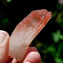 Load image into Gallery viewer, Curved Strawberry Pink Lemurian Seed Quartz Crystal Tantric Twin, Serra do Cabral, Brazil
