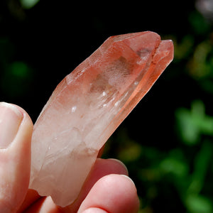 Curved Strawberry Pink Lemurian Seed Quartz Crystal Tantric Twin, Serra do Cabral, Brazil