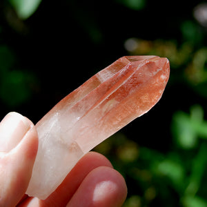 Curved Strawberry Pink Lemurian Seed Quartz Crystal Tantric Twin, Serra do Cabral, Brazil