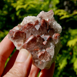 Phantom Pyramid Hematoid Quartz Crystal Cluster, Red Specular Hematite