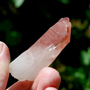 Curved Strawberry Pink Lemurian Seed Quartz Crystal Tantric Twin, Serra do Cabral, Brazil