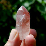 Strawberry Pink Scarlet Temple Lemurian Quartz Crystal Cluster Dreamsicle, Serra do Cabral, Brazil
