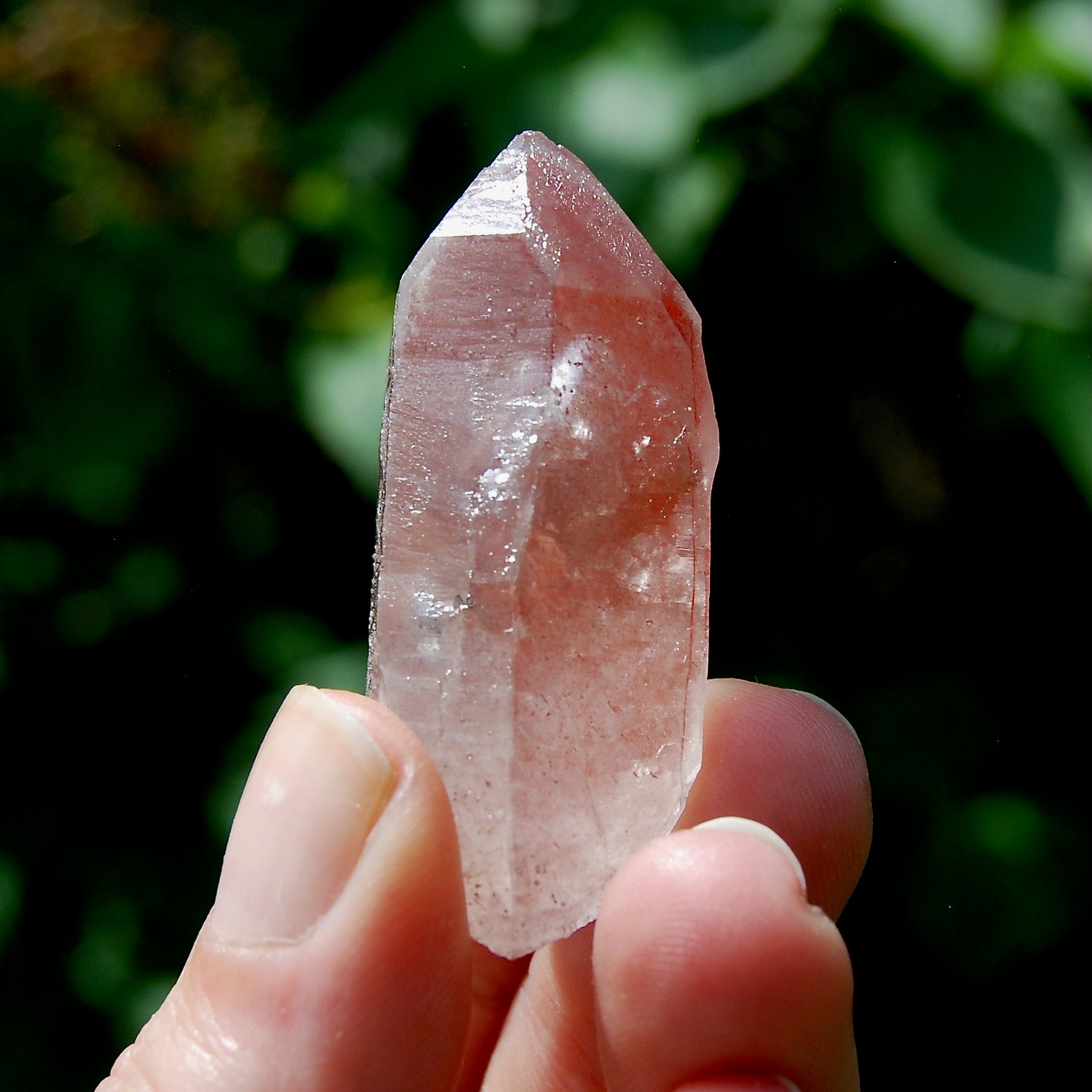 Strawberry Pink Scarlet Temple Lemurian Quartz Crystal Cluster Dreamsicle, Serra do Cabral, Brazil
