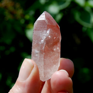 Strawberry Pink Scarlet Temple Lemurian Quartz Crystal Cluster Dreamsicle, Serra do Cabral, Brazil