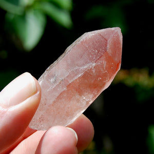 Strawberry Pink Scarlet Temple Lemurian Quartz Crystal Cluster Dreamsicle, Serra do Cabral, Brazil