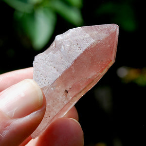 Strawberry Pink Scarlet Temple Lemurian Quartz Crystal Cluster Dreamsicle, Serra do Cabral, Brazil