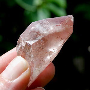 Strawberry Pink Scarlet Temple Lemurian Quartz Crystal Cluster Dreamsicle, Serra do Cabral, Brazil