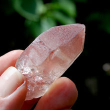 Load image into Gallery viewer, Strawberry Pink Scarlet Temple Lemurian Quartz Crystal Cluster Dreamsicle, Serra do Cabral, Brazil
